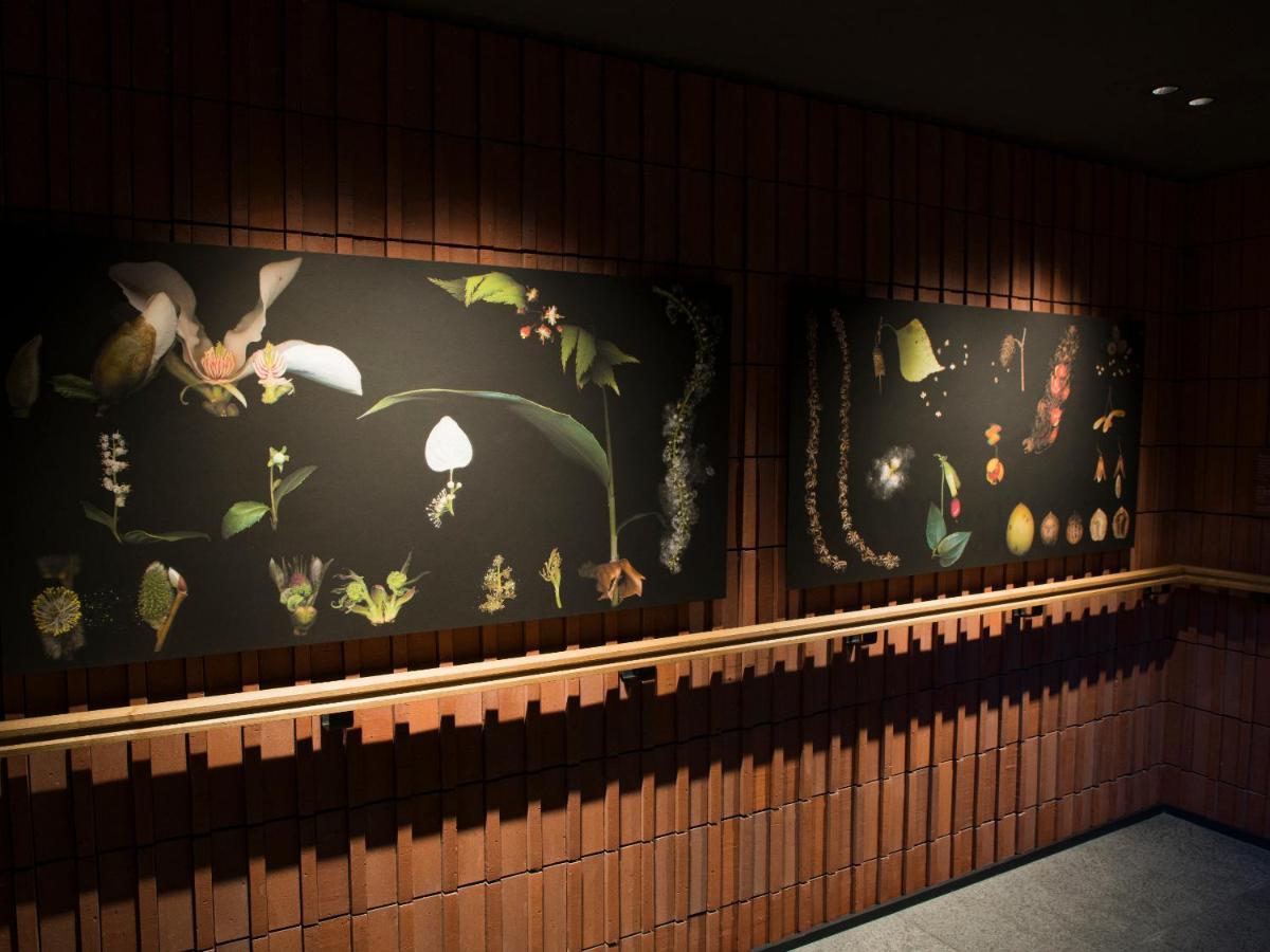 The Knot Sapporo Hotel Exterior photo